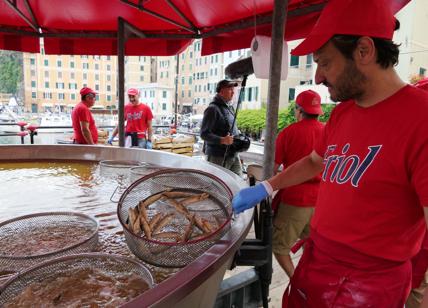 Camogli, ritorna la più grande Sagra di Pesce d'Italia