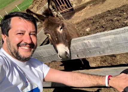 Salvini e la strategia della celebrity. Perfetto esempio di politica pop