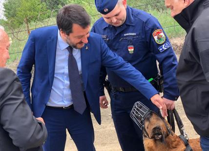 Salvini va in Ungheria e apre al Ppe: "Alleanza se prevale la linea di Orbán"