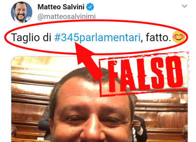 salvini falso