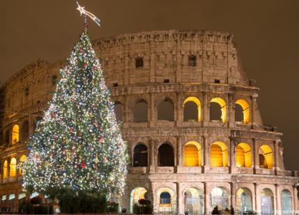 Spelacchio, il bluff di Natale: sesto albero più bello d'Europa, ma è un falso