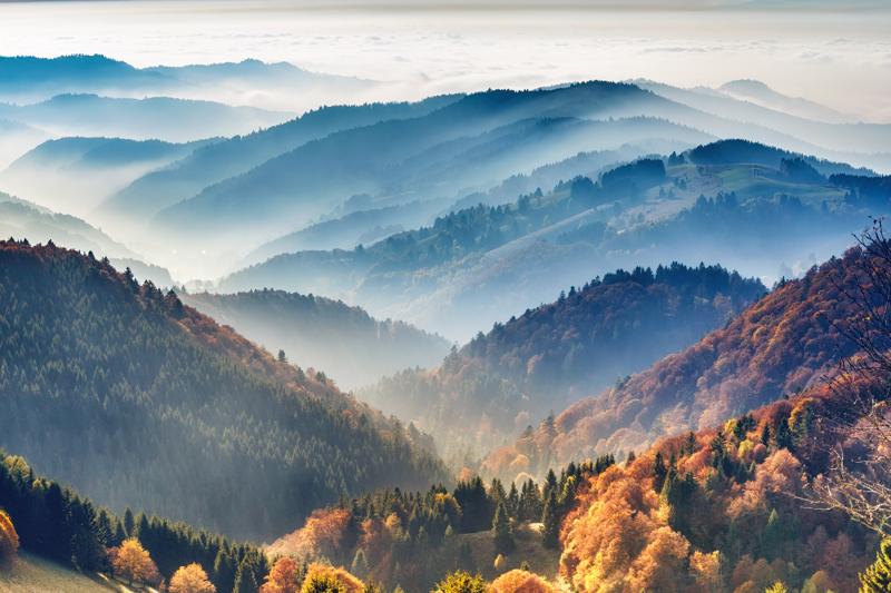 View on the Black Forest, Germany View on the Black Forest, Germany