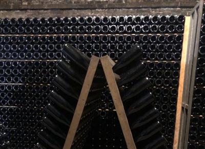 vino