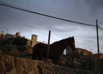 Spagna, la spettacolare corsa dei cavalli tra le fiamme