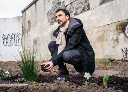 Verdi, solo in Italia sono bonsai: offuscati dalle 5 Stelle di Grillo