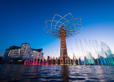AlberoDellaVita2