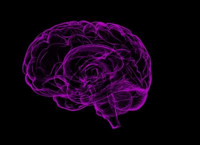 alzheimer alzheimer cure alzheimer terapie