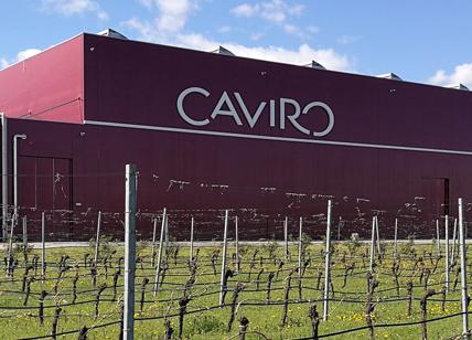 Vino, Caviro investe 9 milioni di euro per rafforzare la capacità produttiva