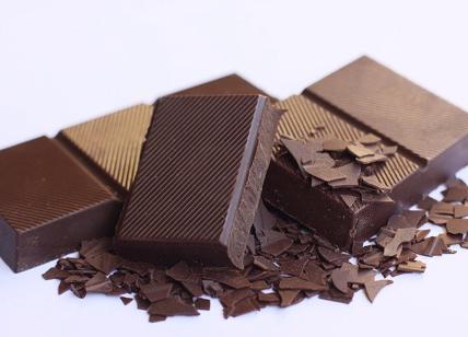 Biscotti al cioccolato senza cottura: 2 ingredienti e pochissime calorie