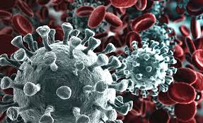 Coronavirus, ecco come viola l'organismo: speranza nel farmaco anti diabete