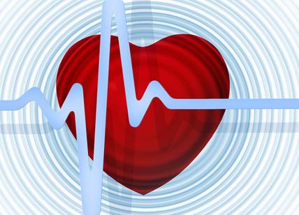 Un "cuore ibrido biorobotico" per testare valvole cardiache artificiali