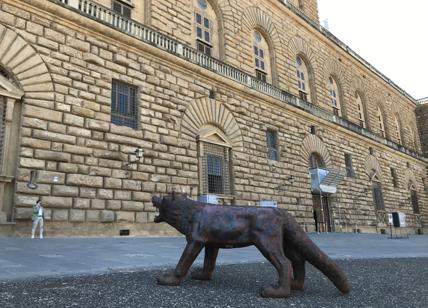 Mostre: i lupi dell'artista cinese Liu Ruowang migrano da Napoli a Firenze