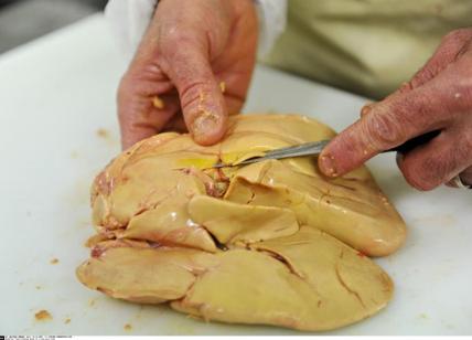 La filiera del foie gras scommette sull'export e punta sull'Asia