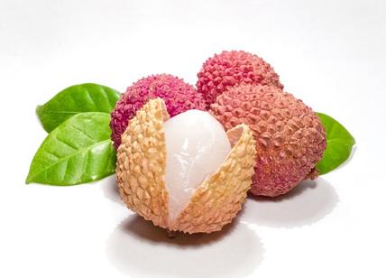pillole per la dieta di frutta al litchito