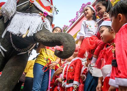 Thailandia, gli elefanti vestiti da Babbo Natale per le feste a Ayutthaya