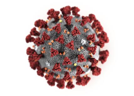 Coronavirus, virus come cristallo 3D. Studio chiave per nuovi farmaci