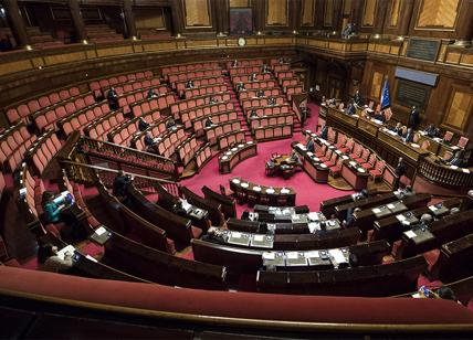 SONDAGGI, Lega Salvini torna a crescere: distacco col Pd sale. I numeri dei partiti