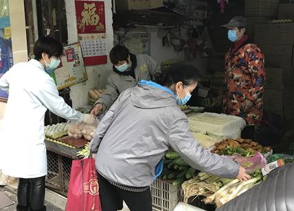 Coronavirus, il virus non è nato in laboratorio e nemmeno da Wuhan