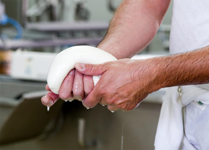 Fattorie Garofalo fa shopping e acquista dal Gruppo Amadori Fattorie Apulia