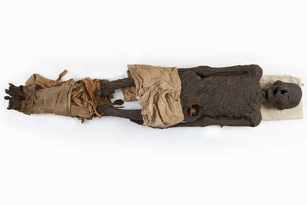 Mummia maschile - Epoca tolemaica - III, i secolo a. C. Mummia maschile - Epoca tolemaica - III, i secolo a. C.