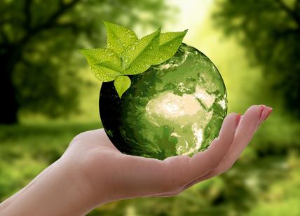 PLEF: responsabilità imprese-ambiente. Prospettive geopolitiche dello sviluppo