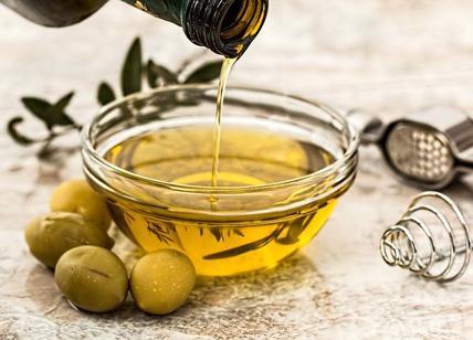 L’olio fa bene al cervello, soprattutto negli anziani