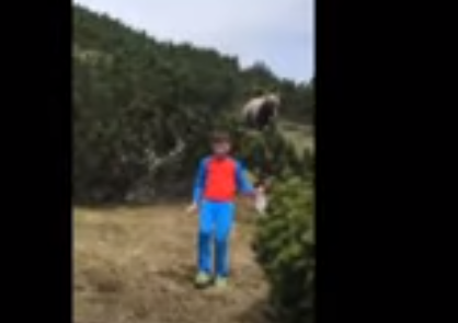 Trentino, incontro ravvicinato con orso: freddezza glaciale del bambino. VIDEO
