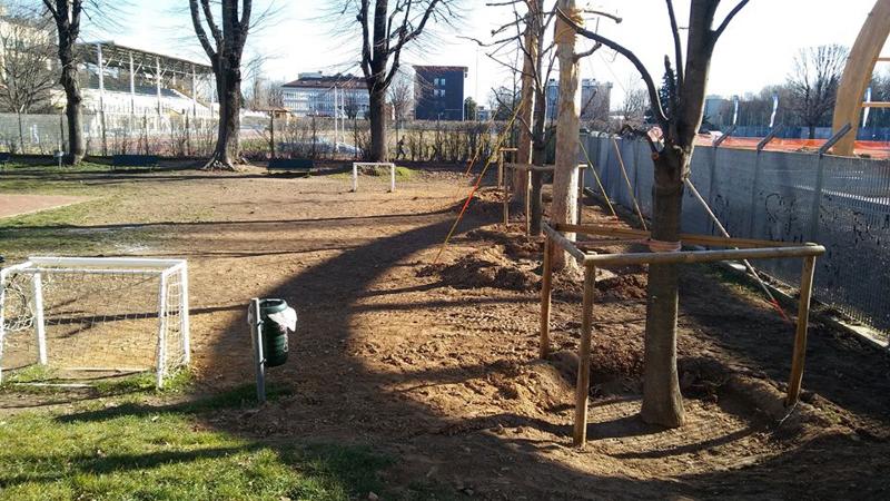 - Alberi trapiantati messi a dimora a fianco nel parco giochi di via Pascal 6 - Alberi trapiantati messi a dimora a fianco nel parco giochi di via Pascal 6