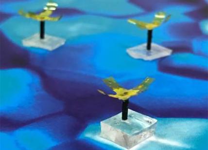 Mini robot di plastica ispirato al design dei polipi marini