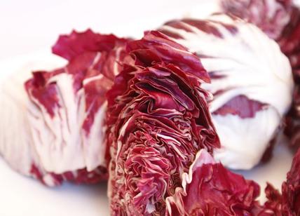 L'Europa promuove prodotti DOP e IGP. Si punta sul radicchio veneto