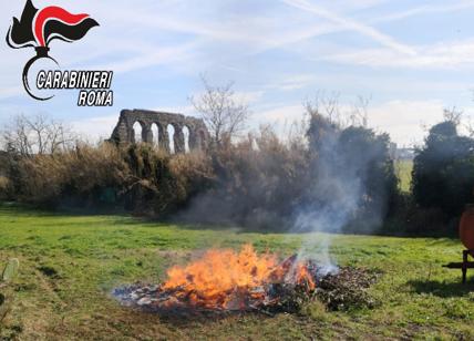 Brucia il parco dell'Appia Antica, a fuoco rifiuti speciali: arrestato operaio