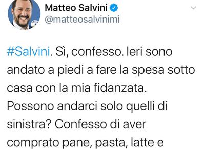 salvini