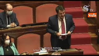 salvini senato
