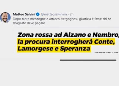 salvini