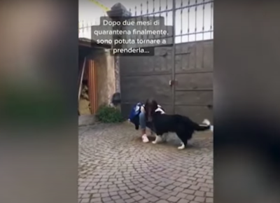 cane accoglie padrona