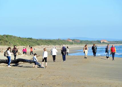 Coronavirus, la disinfezione delle spiagge uccide l'ambiente: allarme Wwf