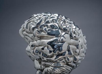 Szymon Oltarzewski Brain 35 x 35 x 45 cm scultura 2018 Bronzo bianco