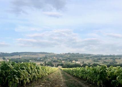 Coronavirus, fase 3: accordo tabacco 2020, tutela per 50mila posti di lavoro