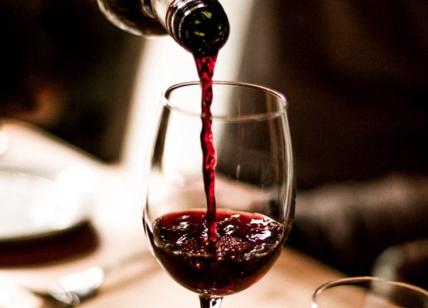 Salento: 'Il vino si fa anche dall'uva' si allarga lo scandalo edulcorazioni