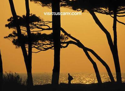 Visit Tuscany