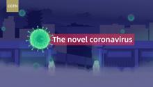 Coronavirus, dalla Cina un cartoon sulla guerra alla COVID-19 di Wuhan