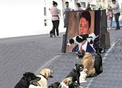 Renzi presenta "La mossa del cavallo". Ma intanto i cani... Ironia social