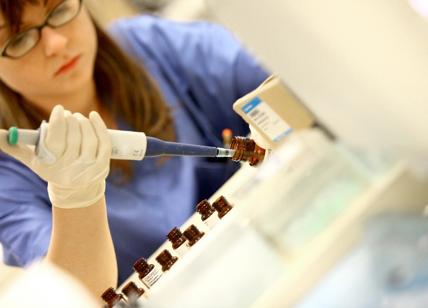 Giornata Mondiale del Diabete: “L'infermiere è determinante per la diagnosi"