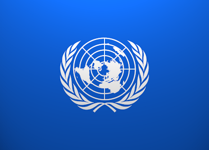 IDI - Istituto Diplomatico - Il ruolo dell'ONU nelle relazioni internazionali