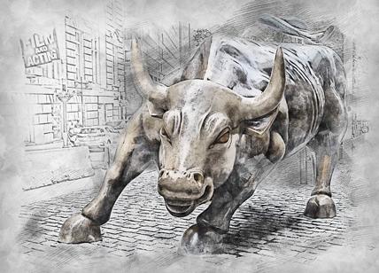 bull 3112617 640