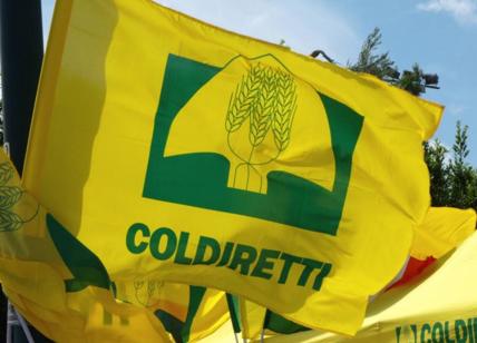 Lombardia, Coldiretti in piazza contro "invasione" dei cinghiali