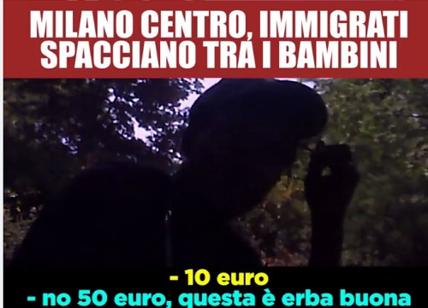 Milano, Morelli (Lega): "Sempione in mano a bande di spacciatori". VIDEO