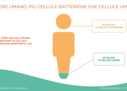 Yovis e il Fingerprint Batterico: l’equilibrio del microbiota per la salute