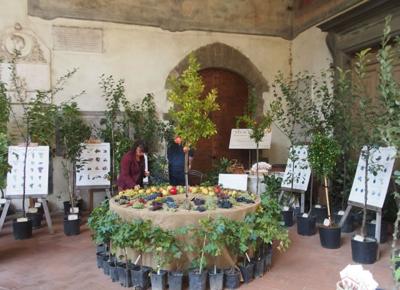 FLORALIA