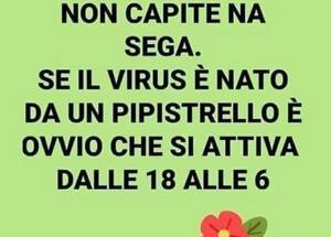 Le chiusure dopo le 18? Il virus è nato dal pippistrello...